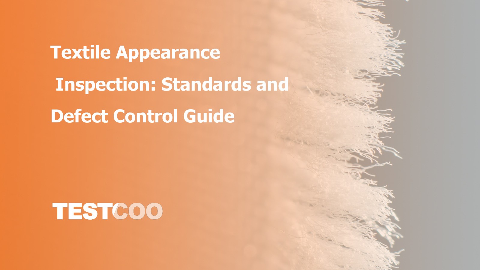 Defect Control Guide