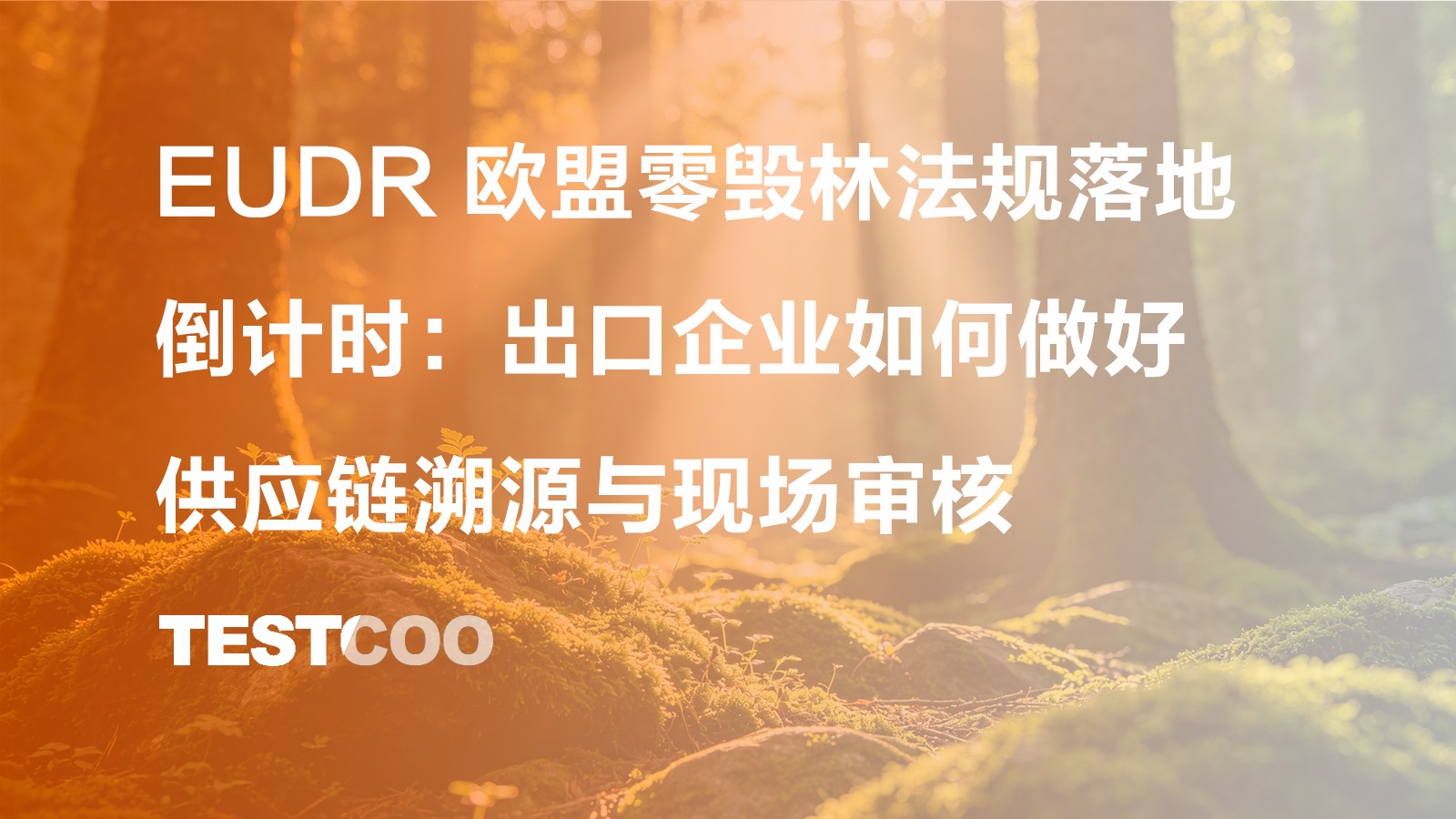 EUDR 欧盟零毁林法规落地倒计时 出口企业如何做好供应链溯源与现场审核