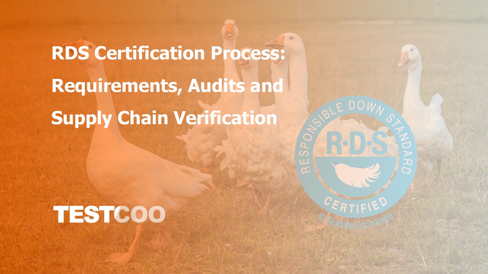 RDS Certification Process