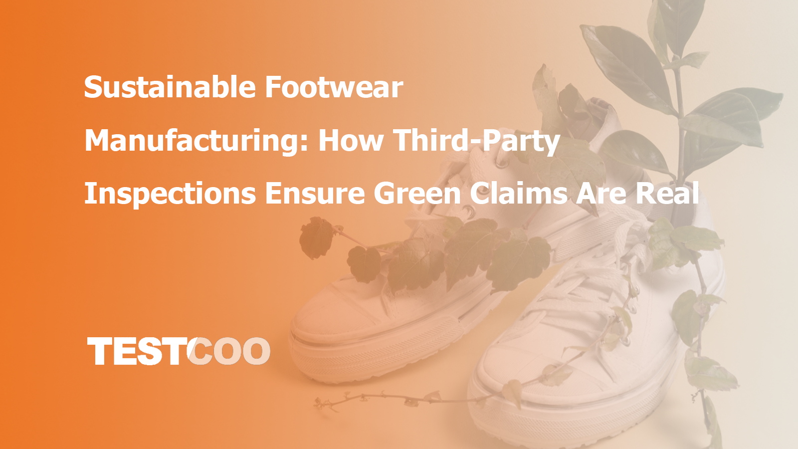 Sustainable Footwear