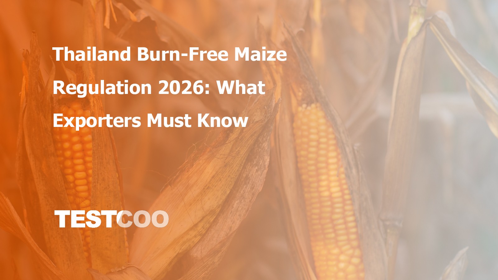 Thailand Burn-Free Maize Regulation