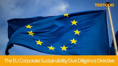 The-EU-Corporate-Sustainability-due-Diligence-Directive-CSDDD