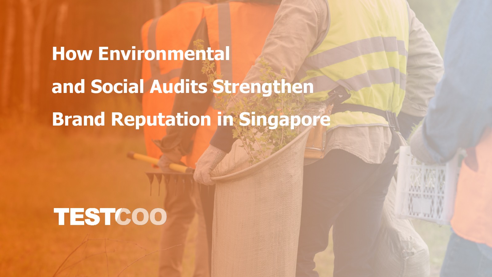 enviroment-social-audit