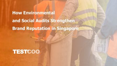 enviroment-social-audit