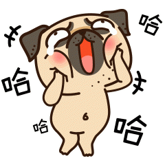 哈哈哈
