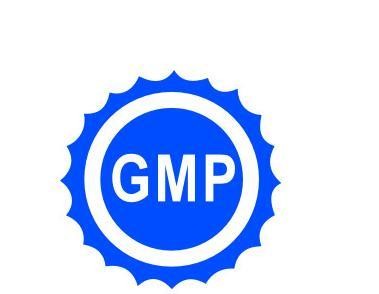 gmp认证图标图片