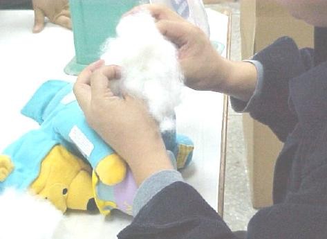 Soft Toys Quality Control Inspectio