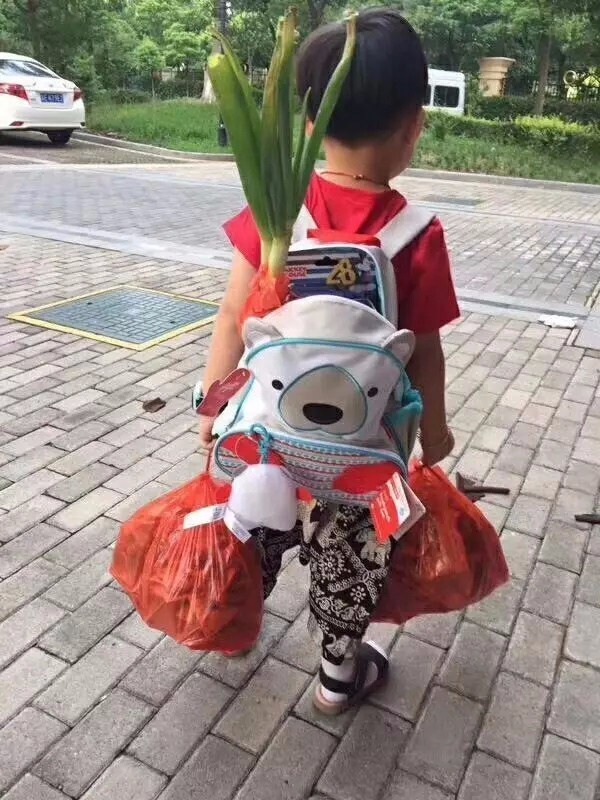 大葱哥 大葱哥