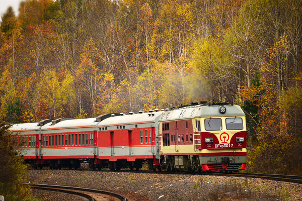 无需远行,才最幸福